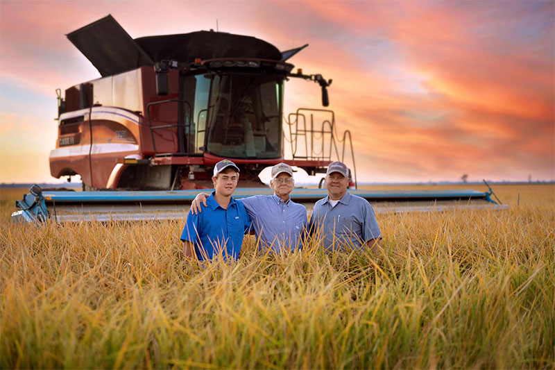 Rance Daniels Rice farmer, Rance Daniels, standing in a rice field with his father and son.