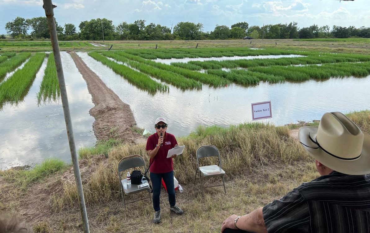 2022-Eagle-Lake-TX-Field-Day,-researcher-giving-presentation in front of flooded research plots