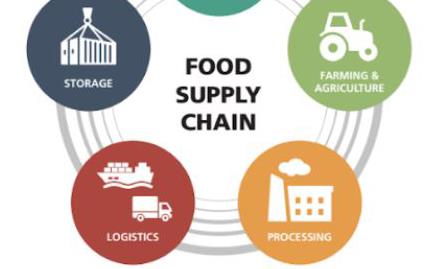 Food Supply Chain diagram with five logos representing foodservice, ag, processing, transportation, and storage, inside different colored circles