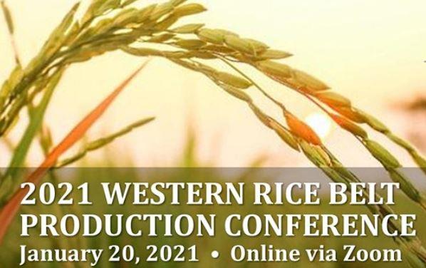 2021 Western Rice Belt Conference log shows rice stalk up close against yellow sky background