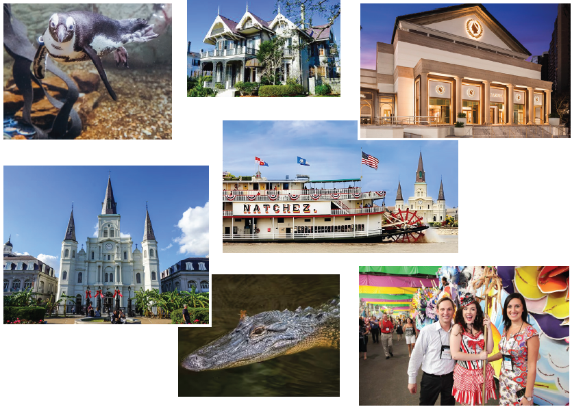 Photo collage of things to do in New Orleans