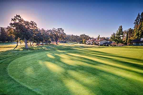Sunsetting behind tall trees over looking a golf course.