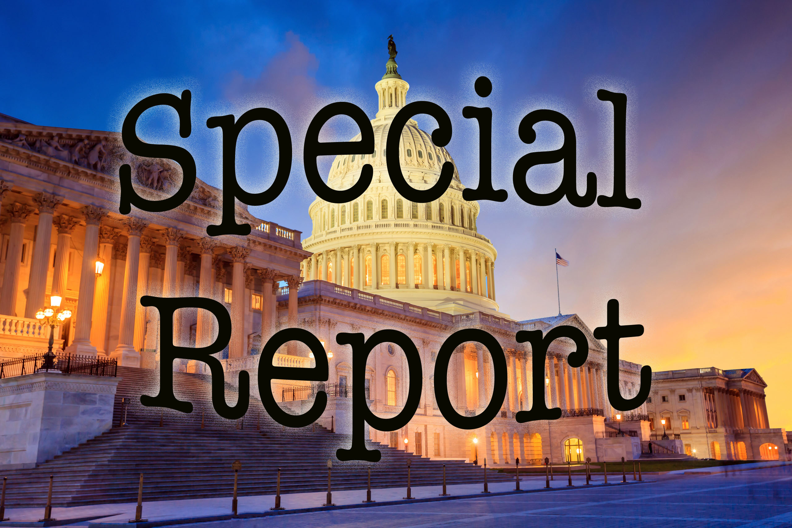 Capitol Special report copy