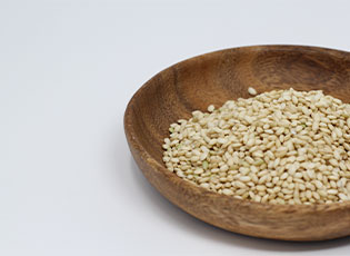 Sprouted Rice Thumbnail