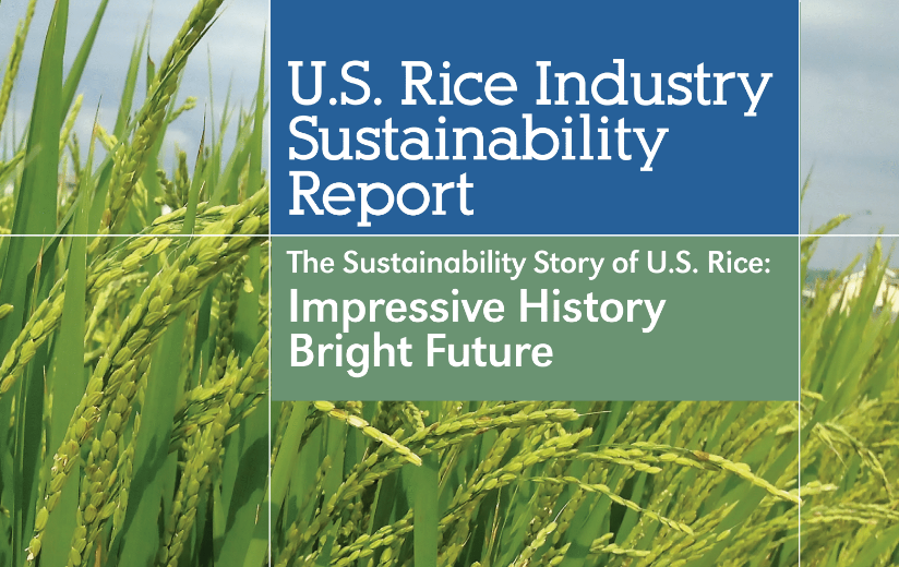 U.S. Rice Sustainability Report Cover, closeup of green rice in field with gray sky