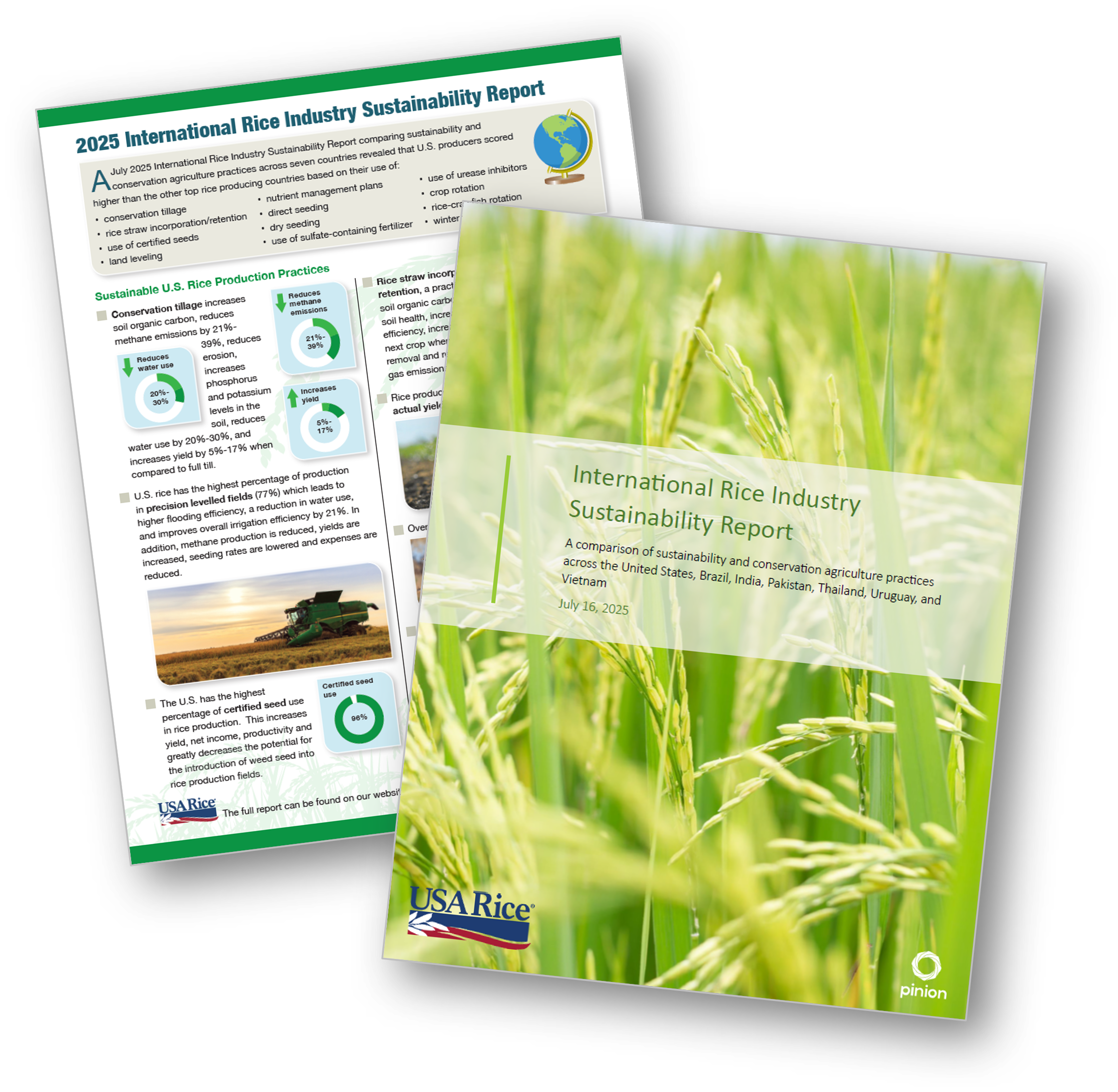 International Sustainability Report Cover