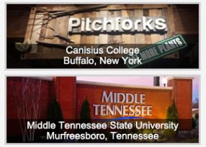 Canisius College and Middle Tennessee State University