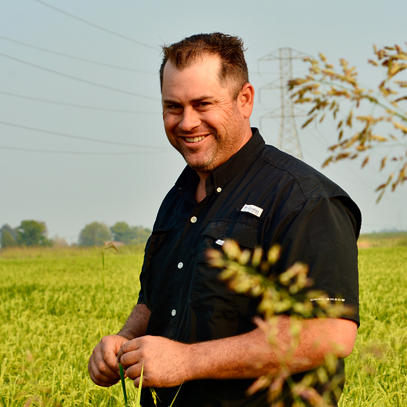 Rice farmer Brian McKenzie standing in a rice field.