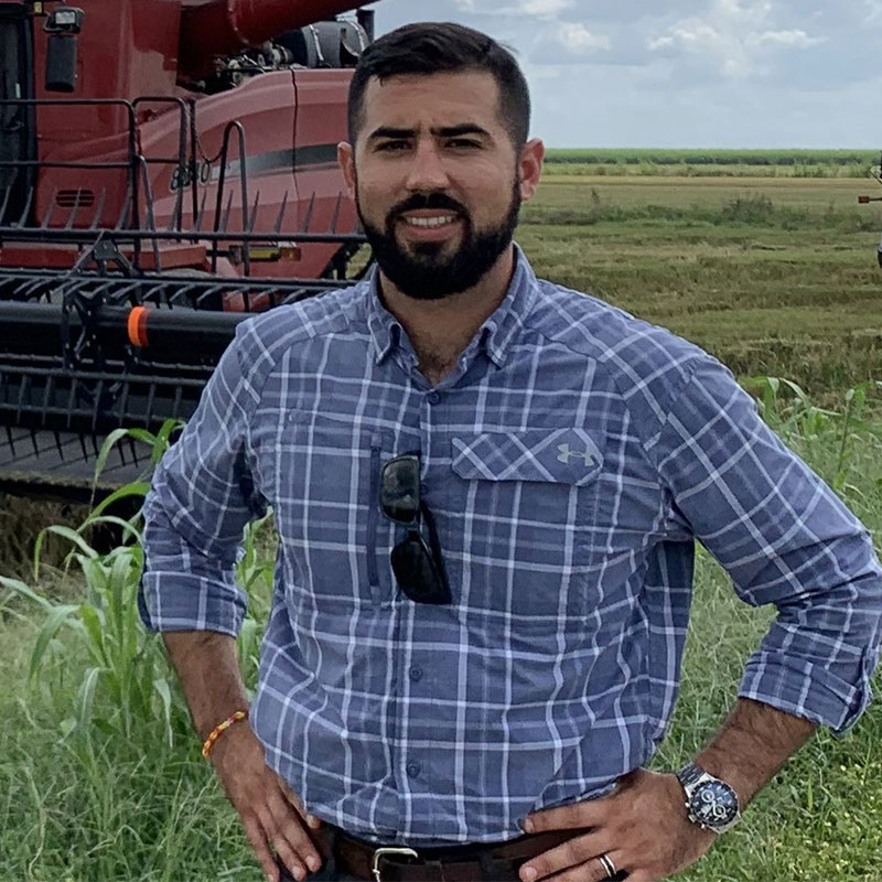 Man standing in front of a combine in a rice field.