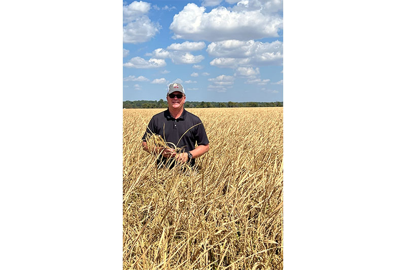 Kirk Satterfield Man standing in a rice field