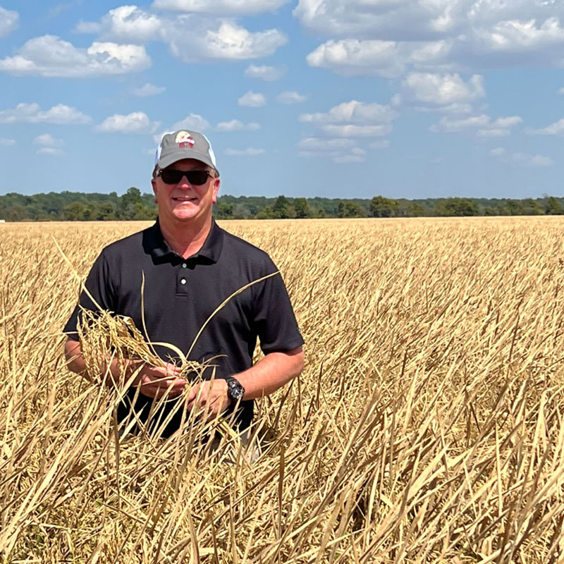 Man standing in a rice field