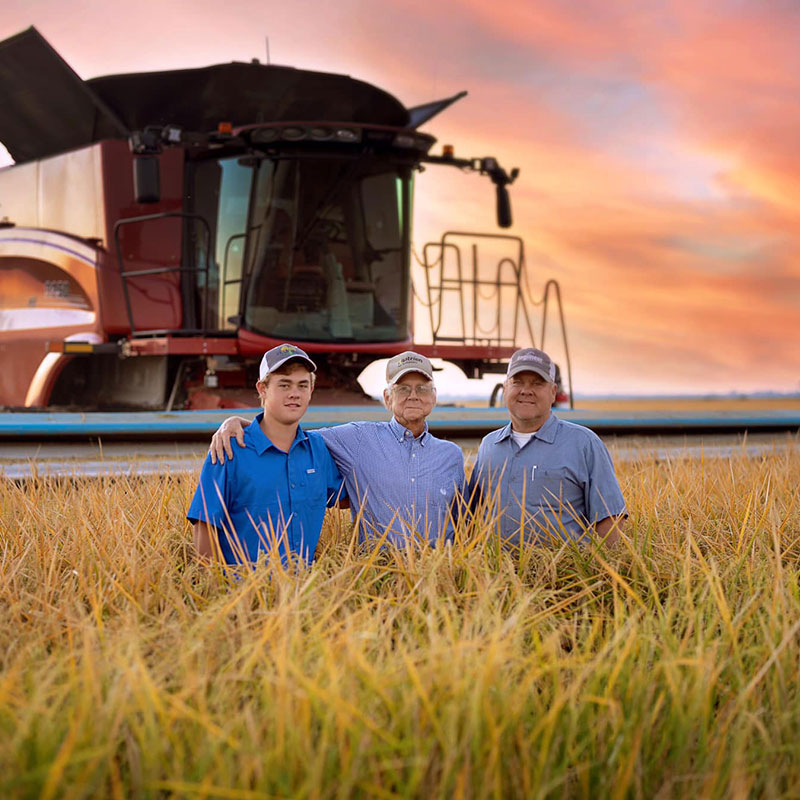 Rice farmer, Rance Daniels, standing in a rice field with his father and son.