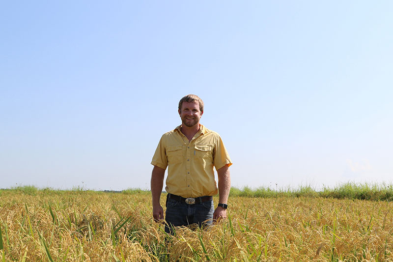 Scott Savage Rice farmer, Scott Savage, standing in a rice field.
