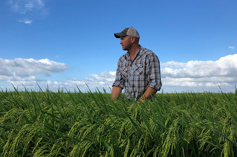 Timothy Gertson in a rice field with blue sky.