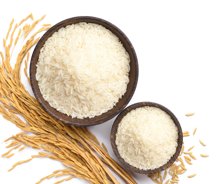 Rice Bowls