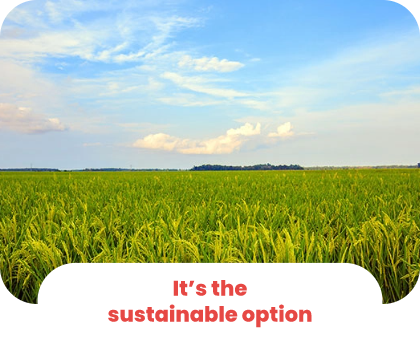 It's the sustainable option