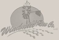 Windmill Rice Windmill Rice Logo