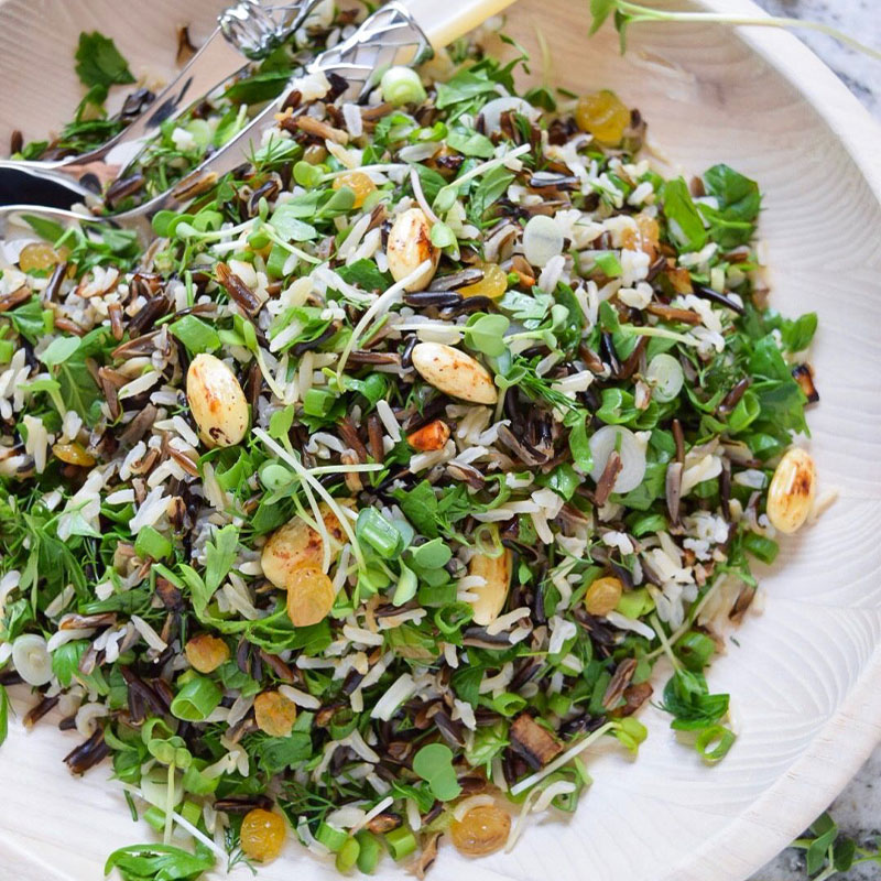 Overhead view of a bowl of Wild Rice and Microgreens Salad.