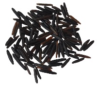 Wild Rice- individual grains