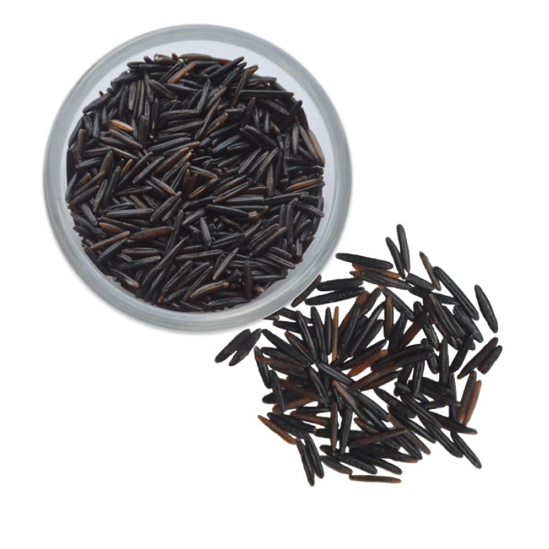 Wild Rice Overhead view of uncooked wild rice.