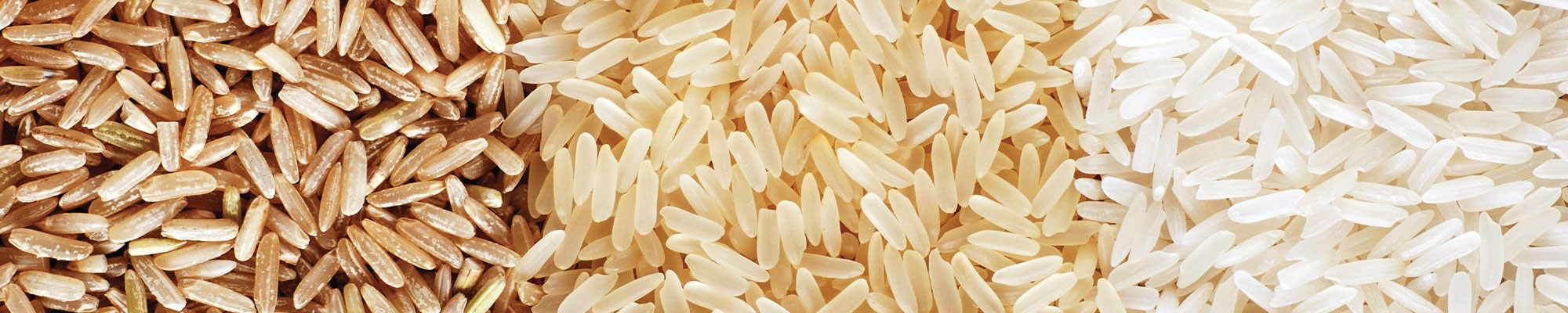 Rice Types Three different columns of loose rice types-brown, parboiled, and white rice.