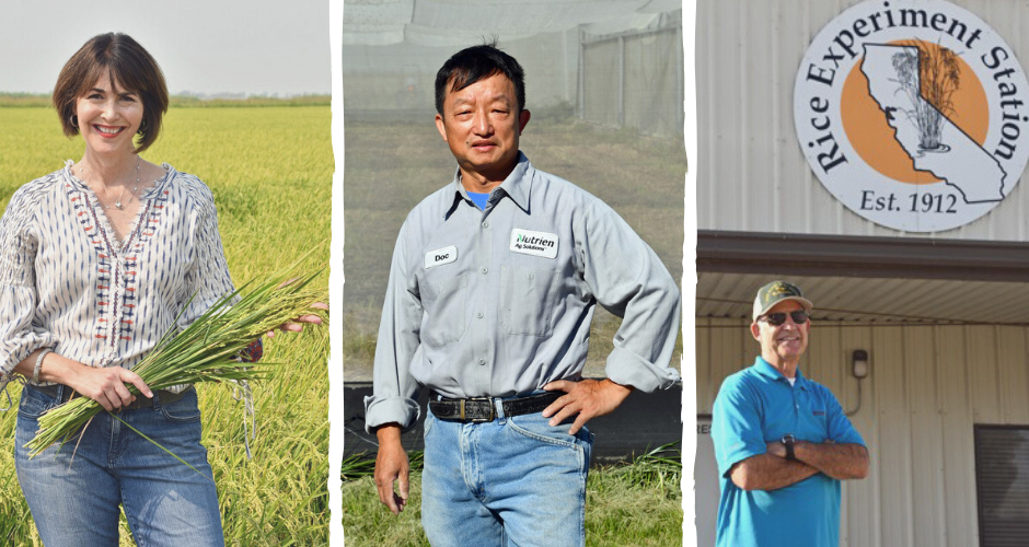 2021 Rice Award Winners: N. Van Vleck, Q. Shao, & K. McKenzie