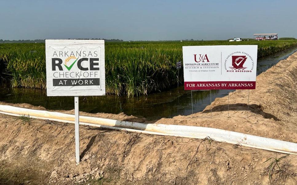 AR Check-off At Work sign in field along w/UofA Ag sign