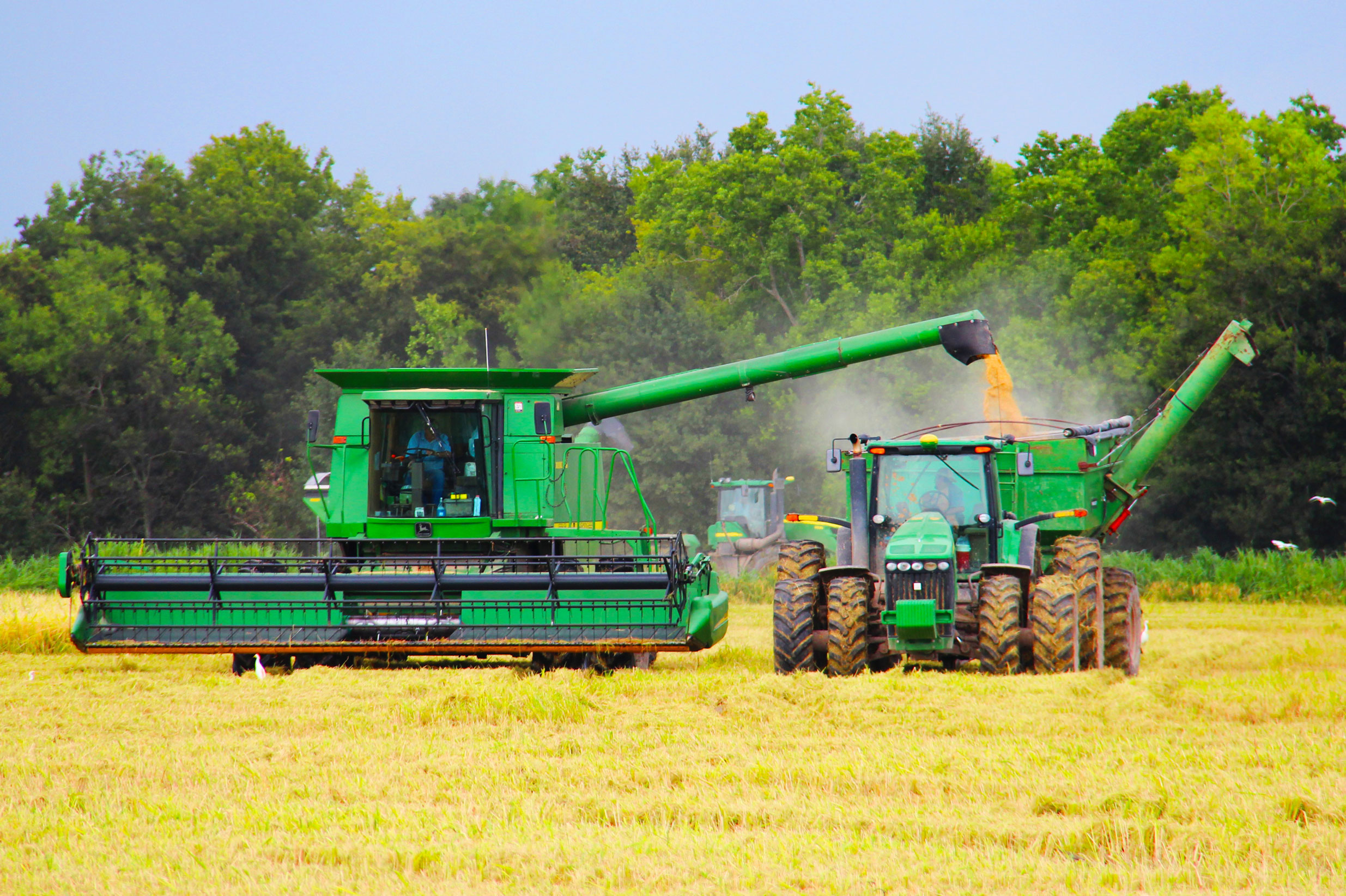 Changing of the guard as USA Rice elects news leadership - Rice Farming