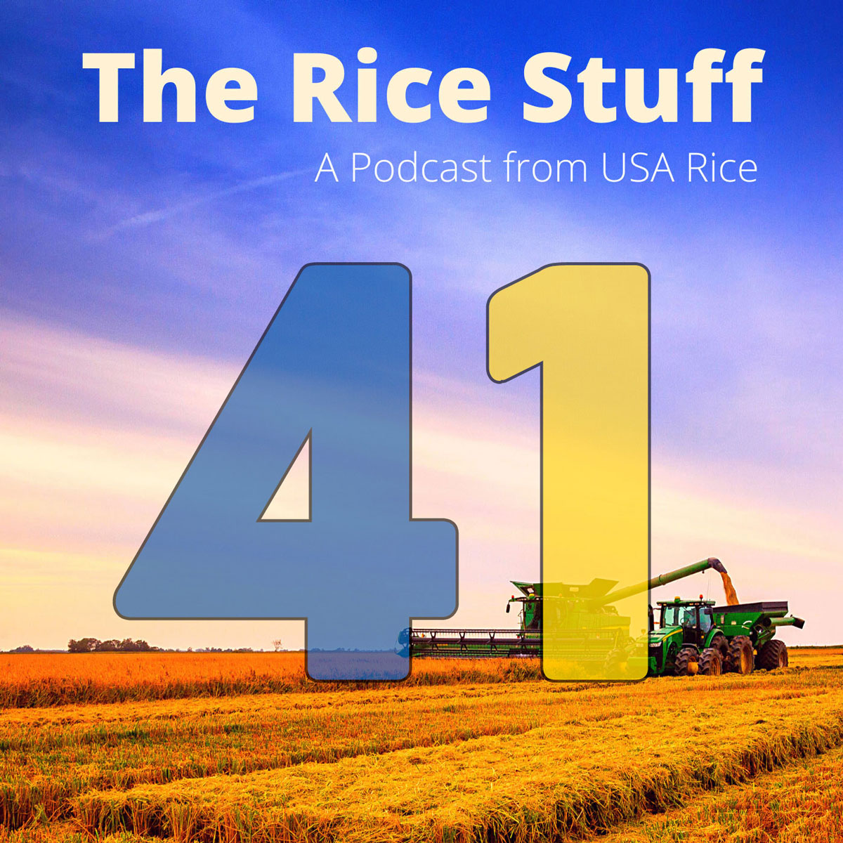 Ukraine Rice Podcast Covers a Host of Global Rice Challenges | USA Rice Federation