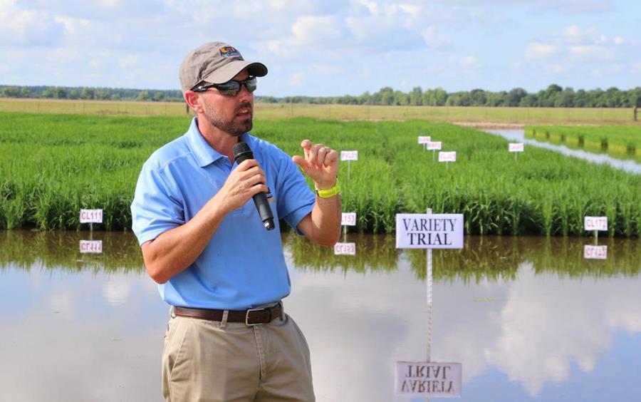 Dr.-Dustin-Harrell stands in front of flooded rice research plots