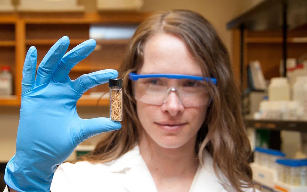 Dr-Angelia-Seyfferth in her lab, wearing safety googles and holding-vial-of-rice-husks in blue-gloved hand