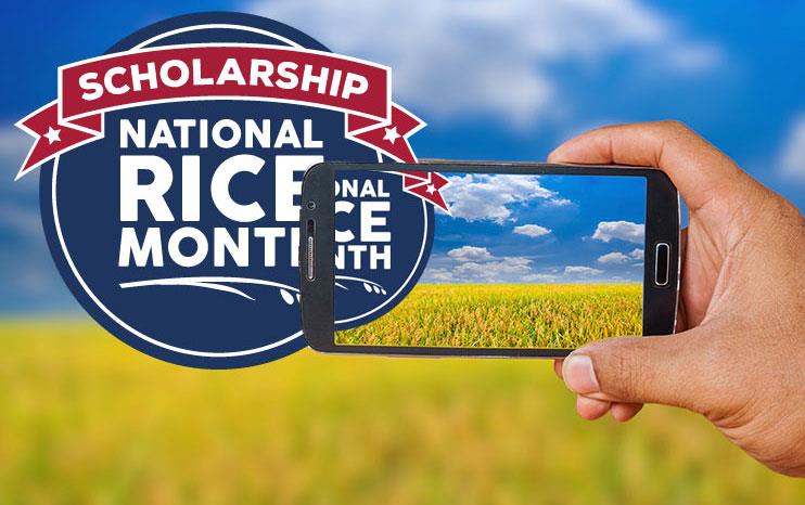 Hand-holding-phone with NRM Scholly logo and mature rice field in background