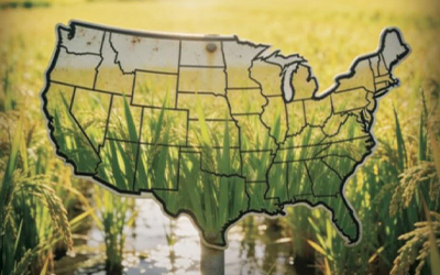 Map of US in rice field, from Rice Farming Magazine