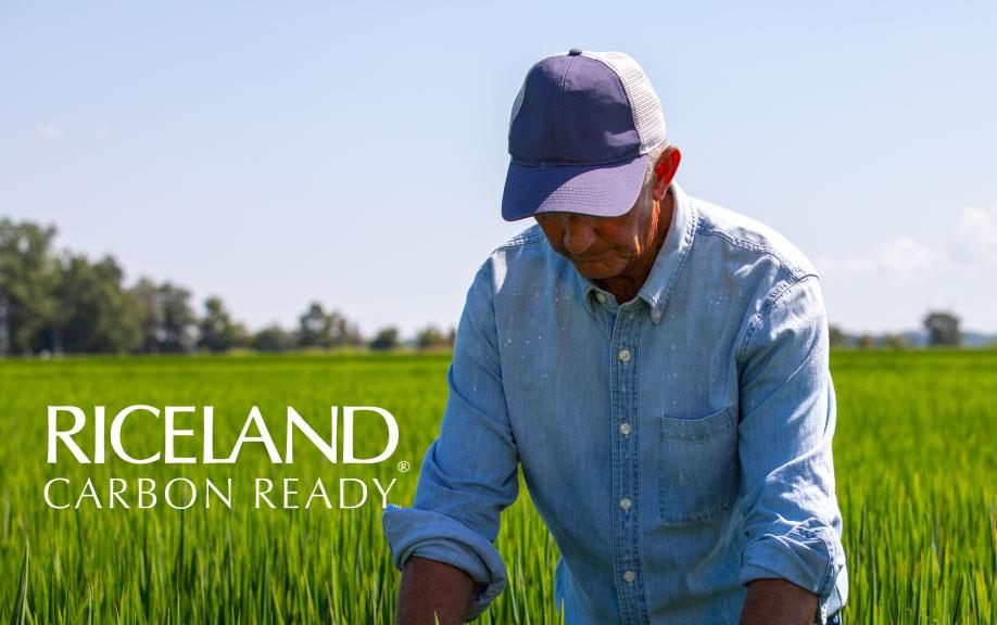 Riceland-Carbon-Ready-Program ad shows man wearing ballcap checking rice in a green field