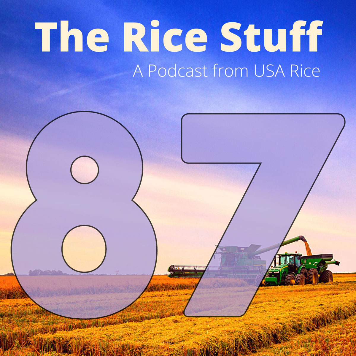 The-Rice-Stuff-Tile-Final-Ep-87-for-daily