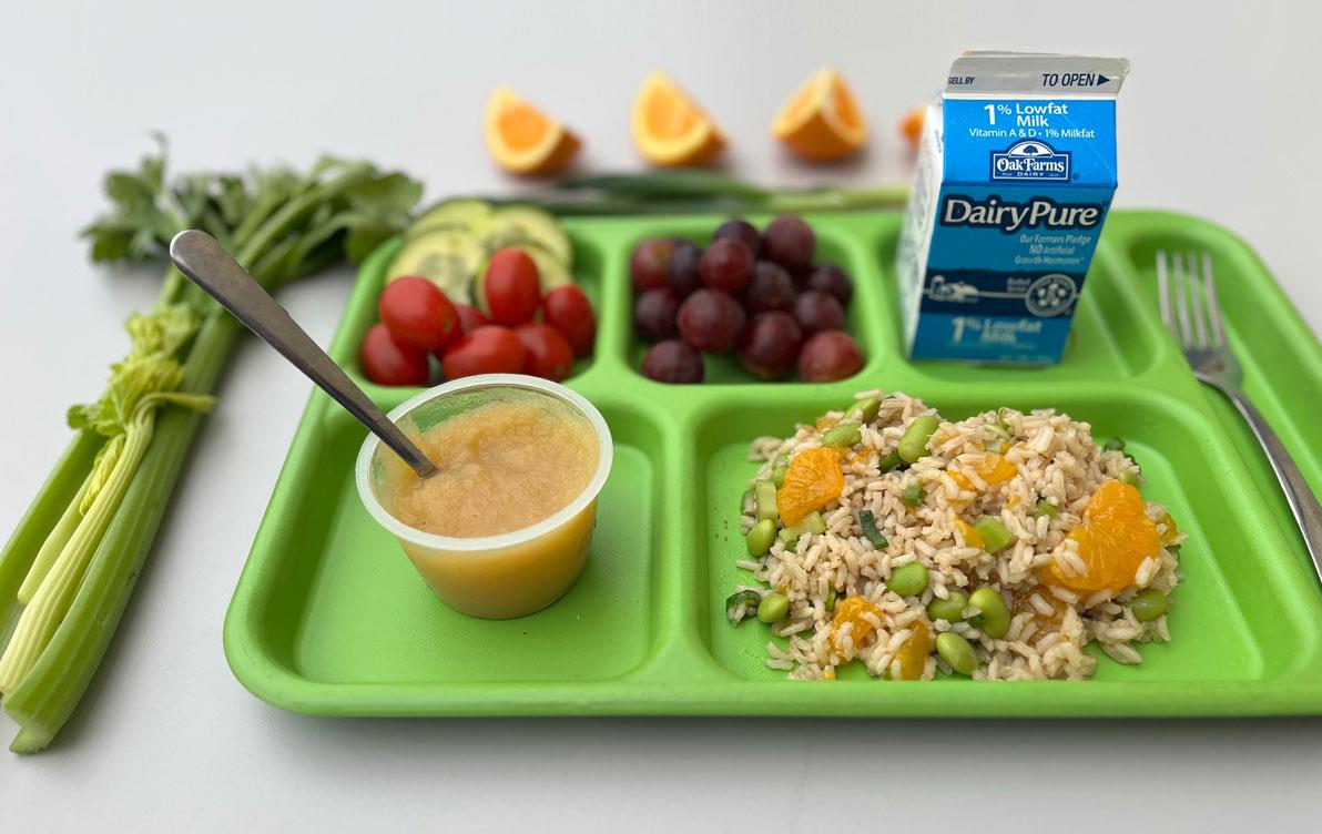 School-Lunch-on-green-tray, rice medley, applesauce, tomatoes, cucumbers, grapes, small carton of milk