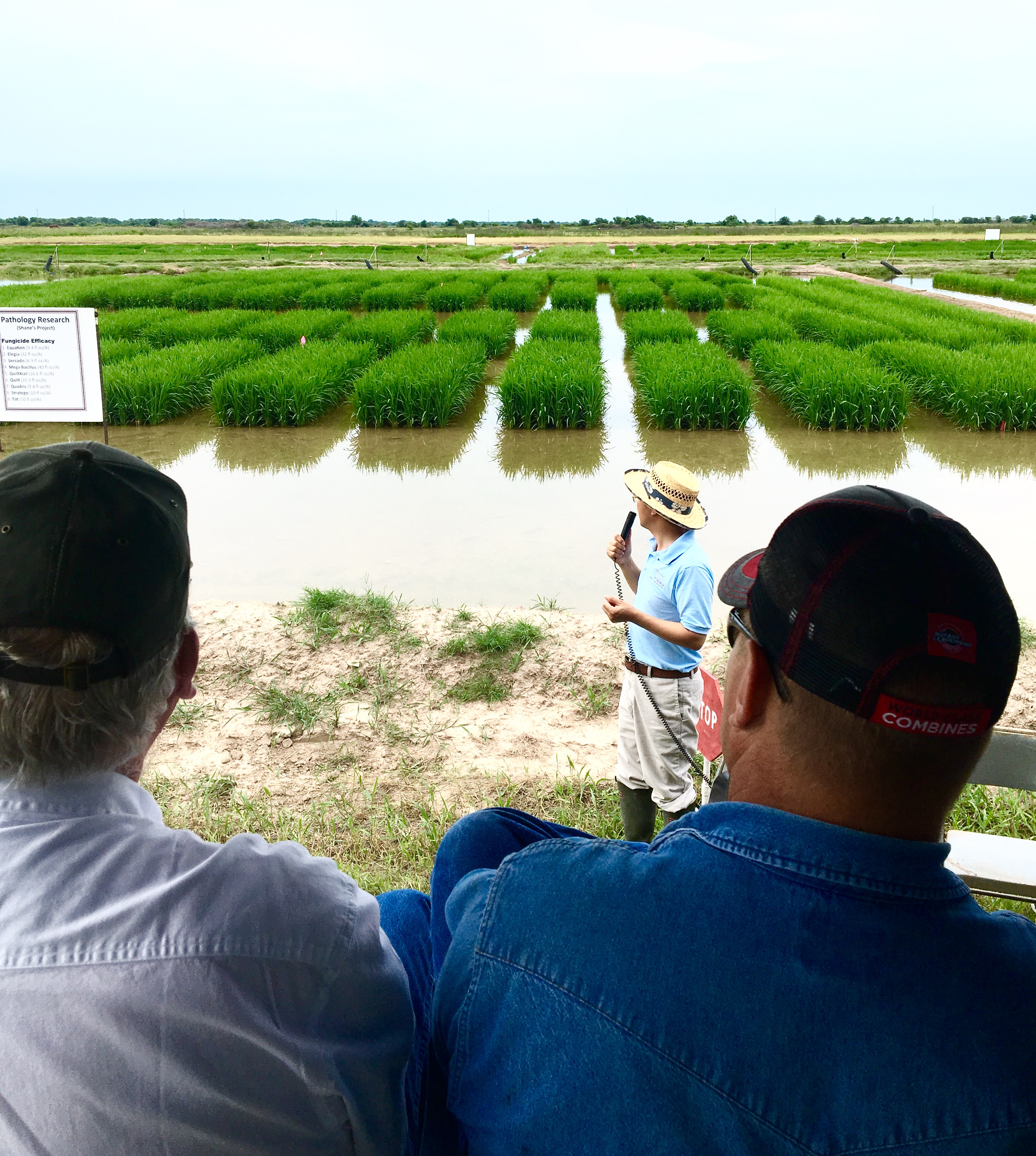 Rice Reigns In Eagle Lake Usa Rice Federation