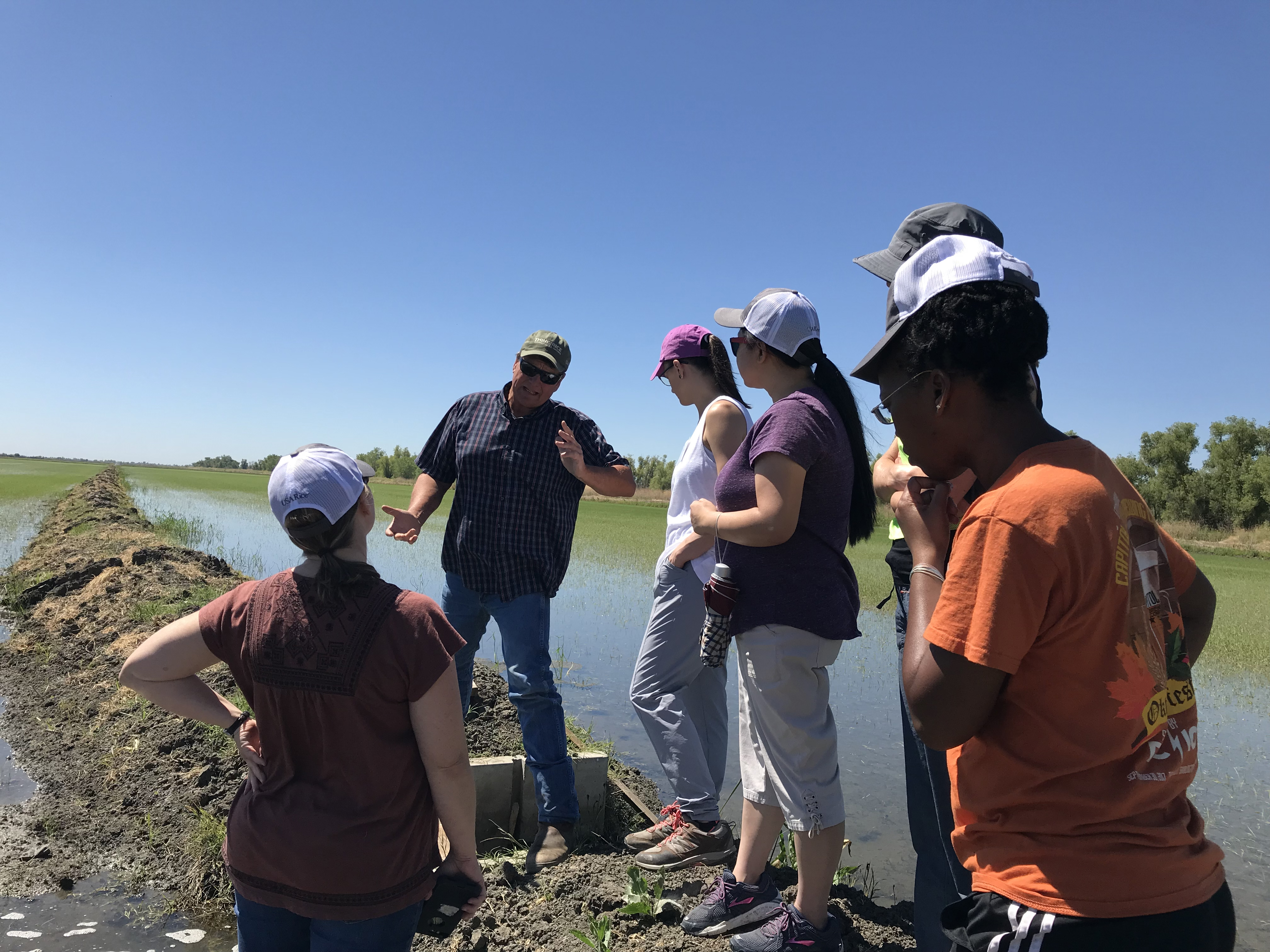 EPA scientists get a lesson in rice production irrigation from California farmer Mike DeWitt  