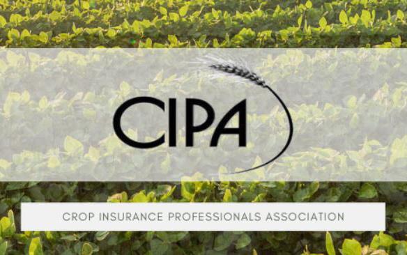 Crop Insurance Professionals Association logo, soybean field