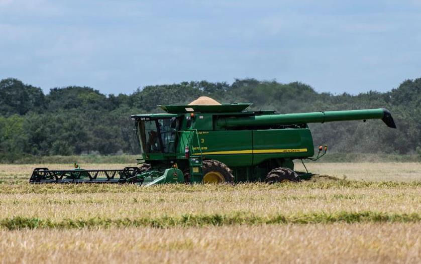 John-Deere-combine-harvesting mature rice field