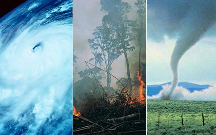 Natural-Disasters-images: hurricane, wildfire, & tornado