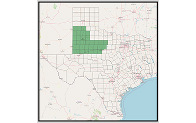 TX District 19 map
