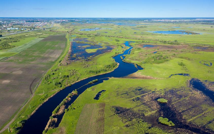 Aerial view of rice fields and waterways