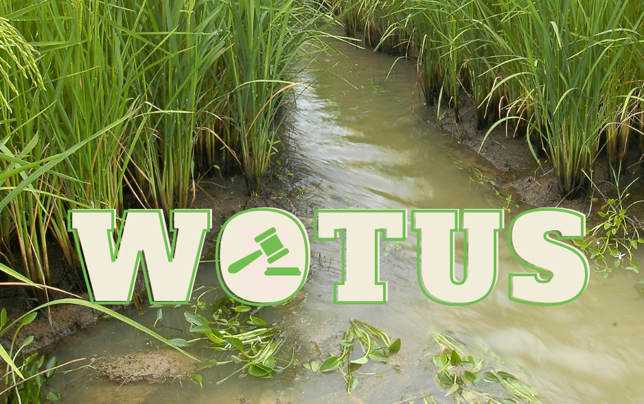 WOTUS Rule graphic, flooded rice field w/text "WOTUS" and gavel icon