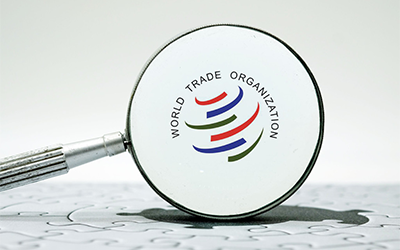 WTO logo under magnifying glass