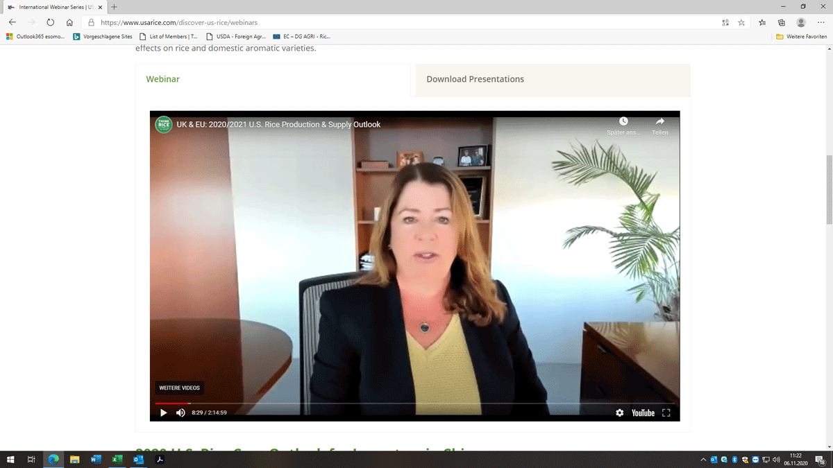Screen shot of white woman with long, brown hair on Zoom call