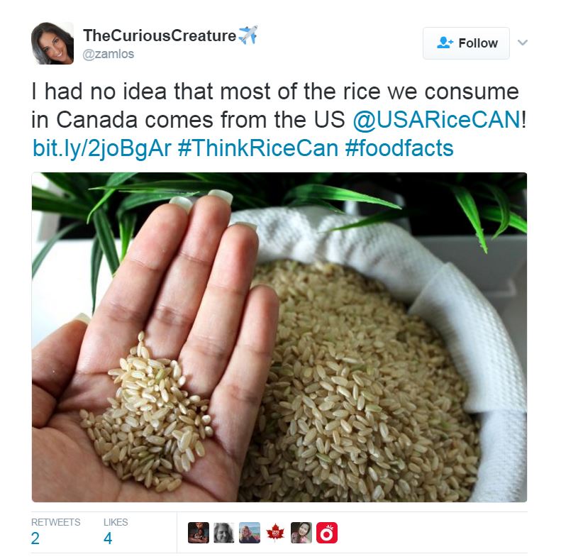 IP-Canada Twitter Chat-170109