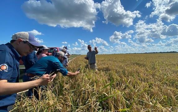 Farmer David Petter stands in his rice field talking to group of people