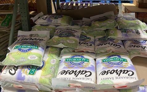 Stacks of bagged rice on pallets at warehouse store