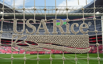 Graphic of the USA Rice logo on a soccer net